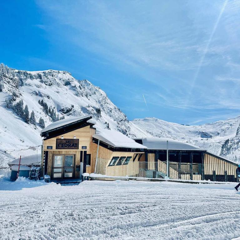 Appartement 2 pièces, ski aux pieds, 4 pers, Avoriaz - FR-1-314-291 - Apartment - 6