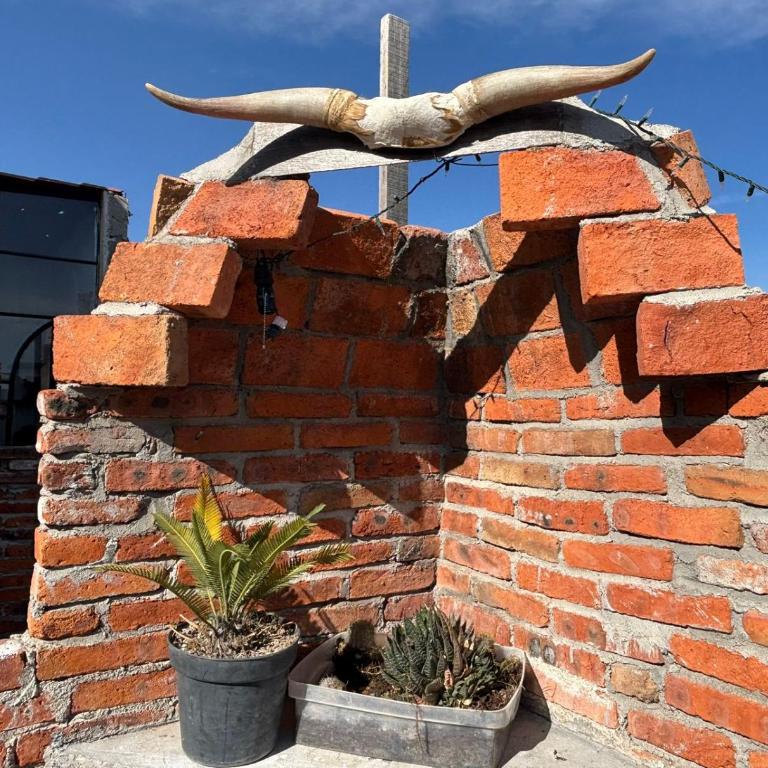 El Rincón del Cactus - Apartamento de 1 dormitorio - 18