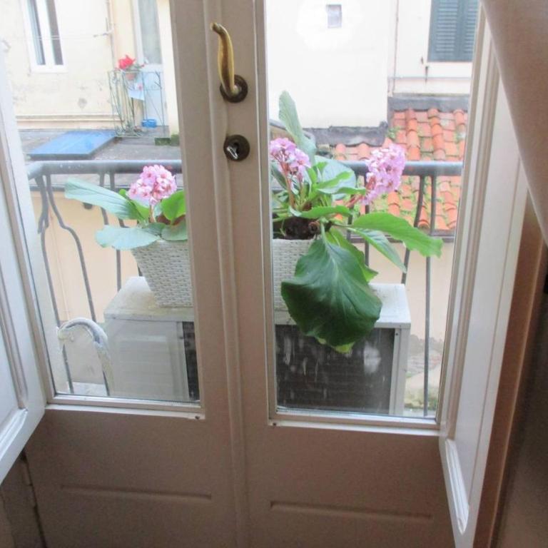 Holiday apartment rental in the heart of Lucca no01 - Appartamento - 18