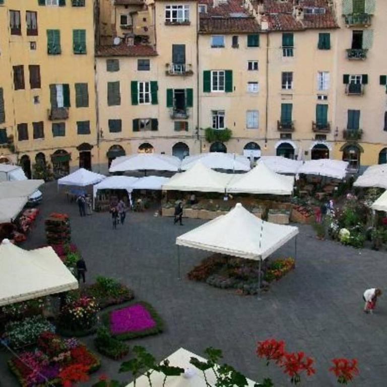 Holiday apartment rental in the heart of Lucca no01 - Appartamento - 22