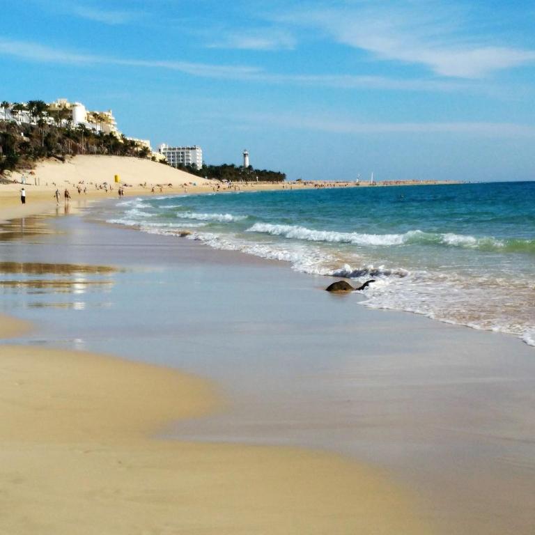 Apartment near the beach with a huge terrace, patio, wifi and parking - Apartamento - 50