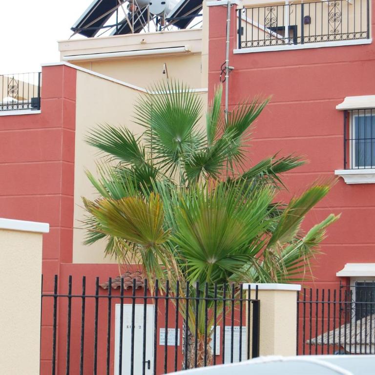 Beach Pool Av Mancha - Apartamento - 29