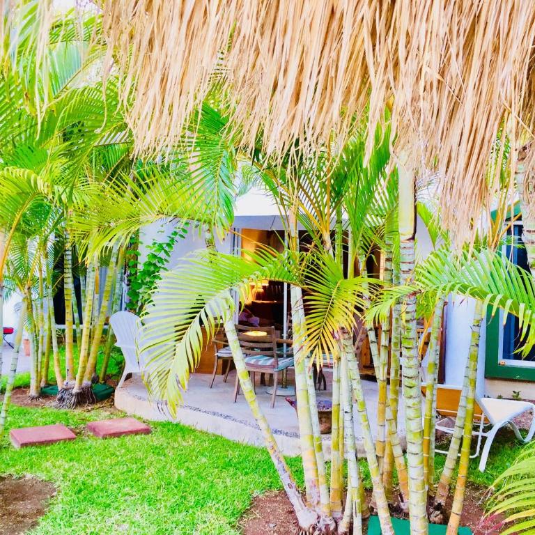 Superior Comfort Room With Swimming Pool Air Conditioning and Parking - Double or Twin Room - 17