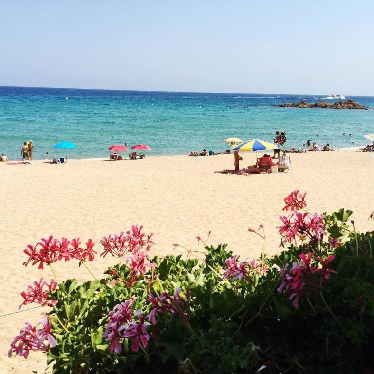 Apartment Equiped Fenals Beach - Apartamento - 26