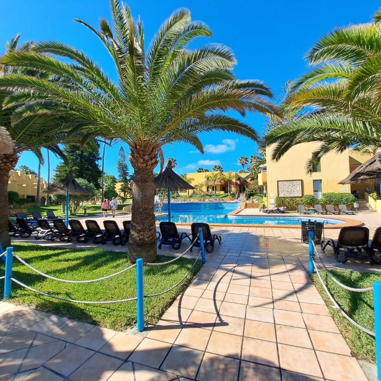 Casa Atlantico, pool and terrace - Apartamento - 7
