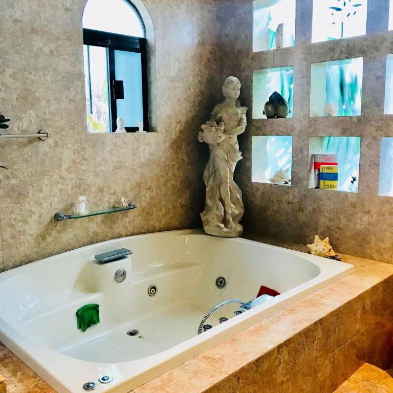 Suite Jacuzzi Room in Stunning Villa Playacar Ii - Habitación Doble - 1 o 2 camas - 6