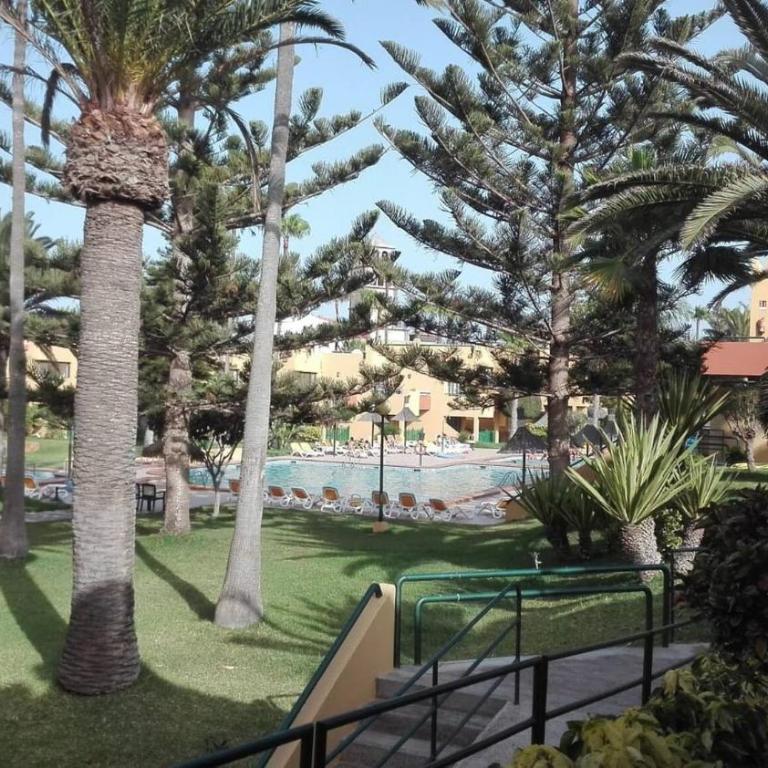 Beach Apt With Fast Wifi - Apartamento - 19