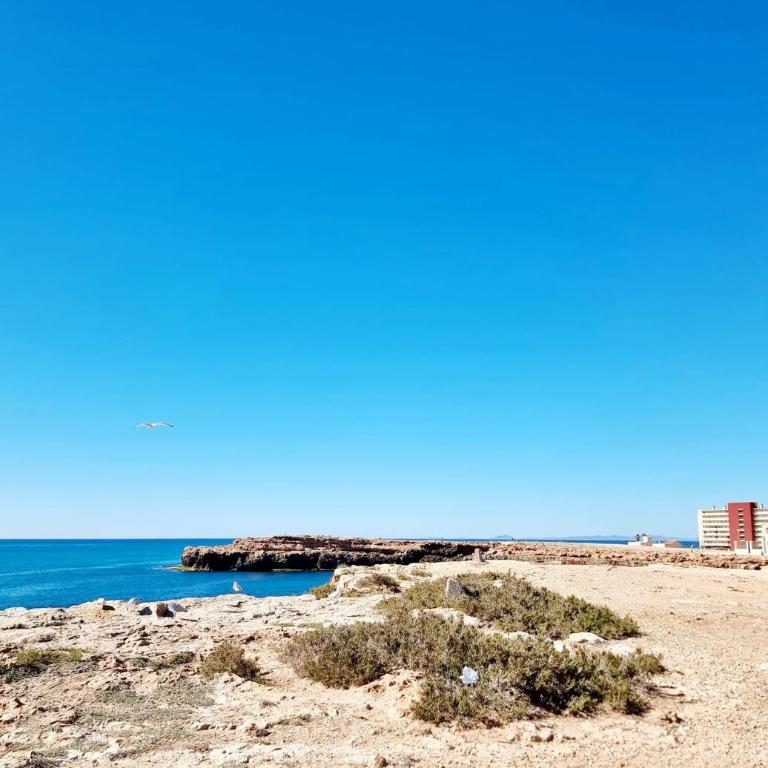 Apt with garden beach - Apartamento - 26
