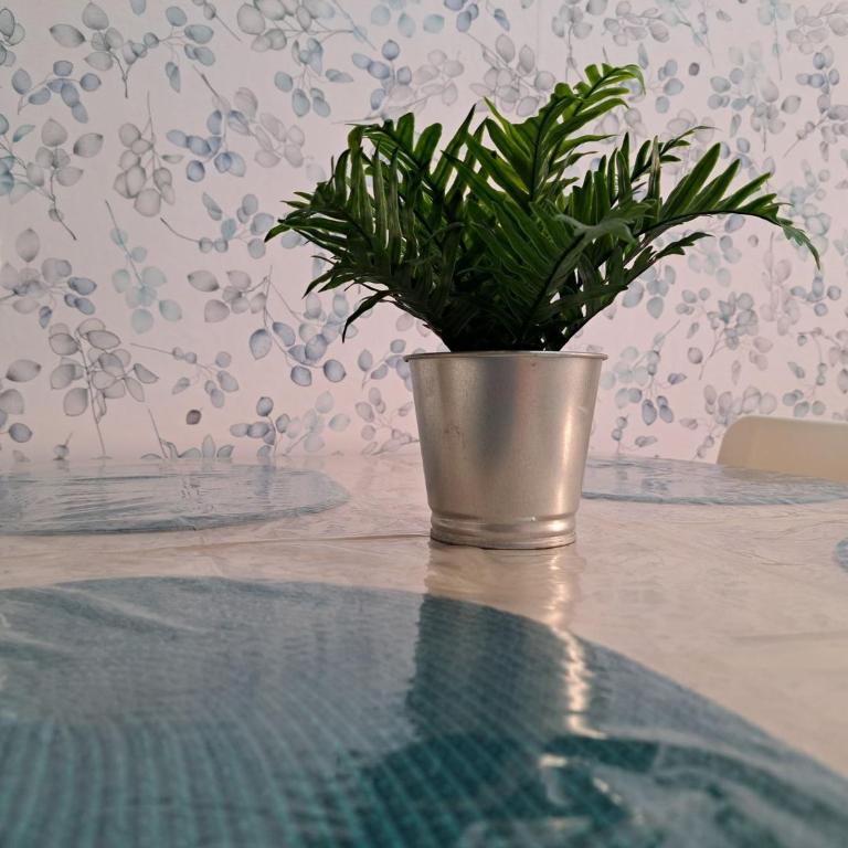 Casa Mamu, terrace, wifi and air con - Apartamento - 8