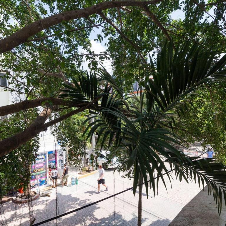 Pancho Double Balcony Apartment 5th Avenue - Apartment - 12