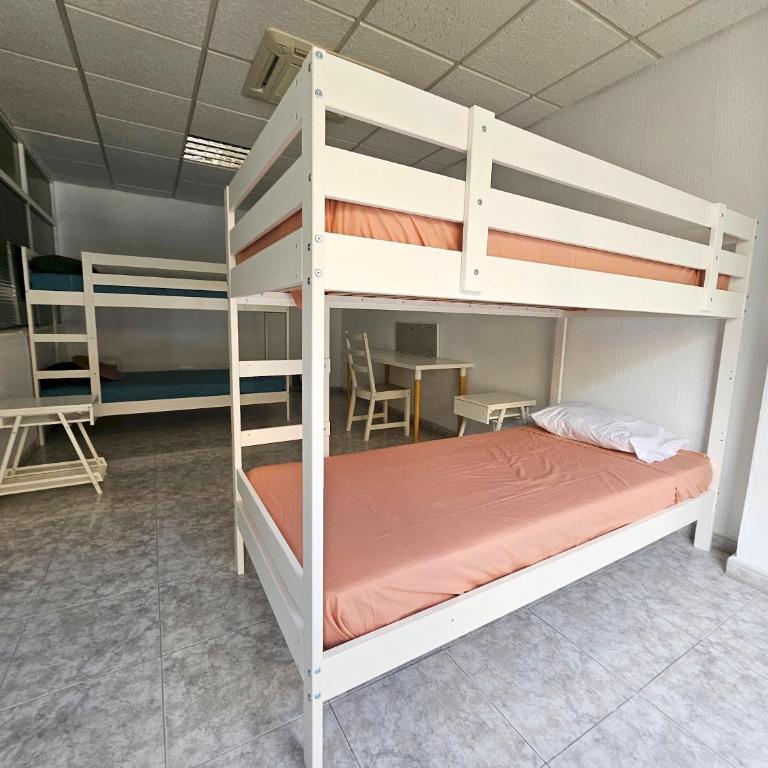 Corralejo Coliving by Amazzzing Travel - Cama individual en habitación compartida mixta - 20