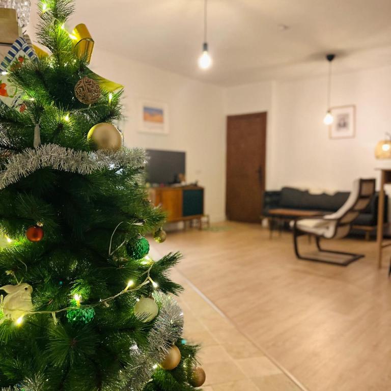 Habitación amplia y tranquila con baño privado en piso compartido - Apartamento de 1 dormitorio - 17