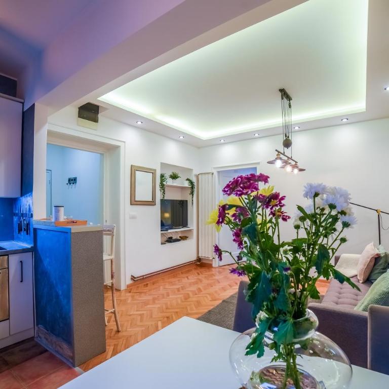 Panorama Central Apartments - Superior Apartman - 22