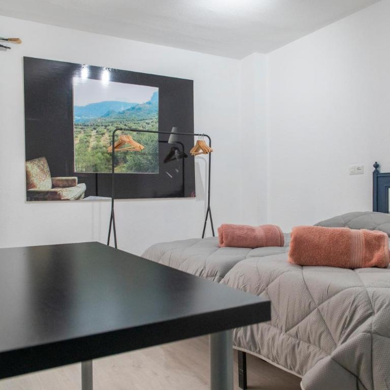 Atico con Terraza privada en el Casco Historico - Apartamento - 44