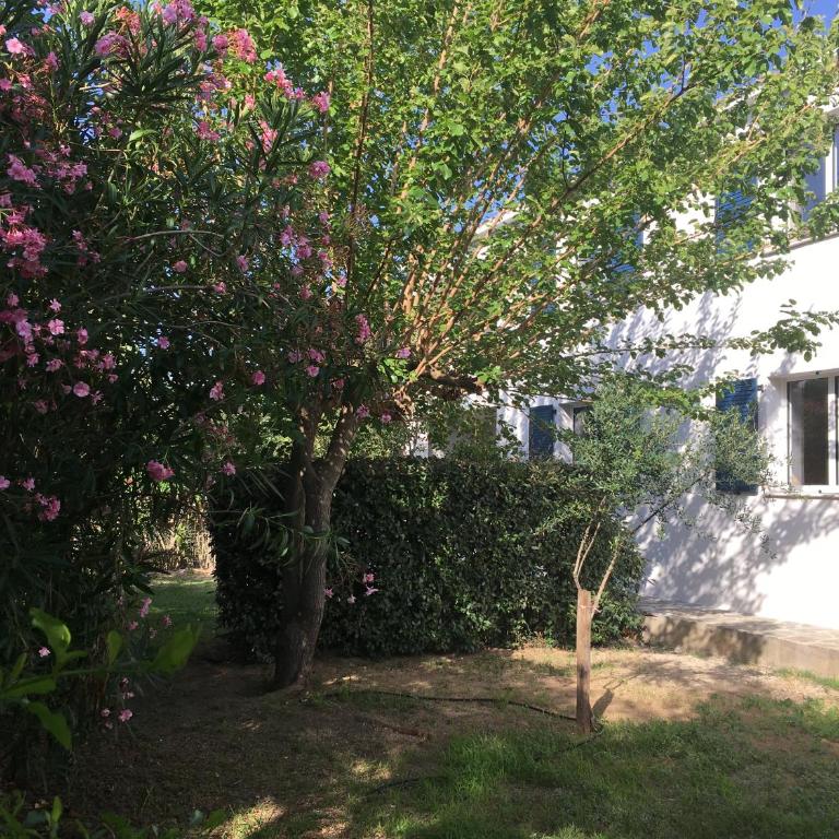 Les Mûriers - Appartement 2 Chambres - Vue sur Jardin - 9