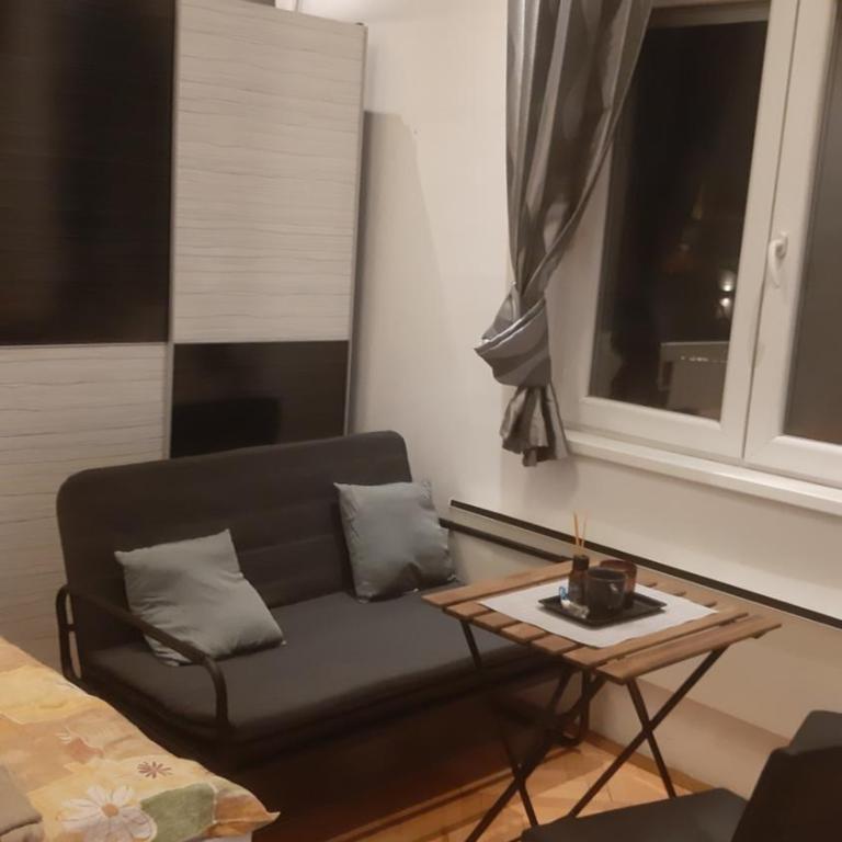 Skadarlija Central - One-Bedroom Apartment - 2