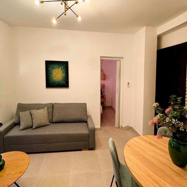 Apartamentos Plaza San Agustín 3000 - Classic Apartment - 16