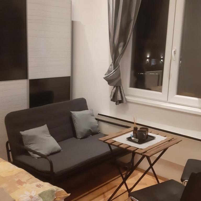 Skadarlija Central - One-Bedroom Apartment - 3