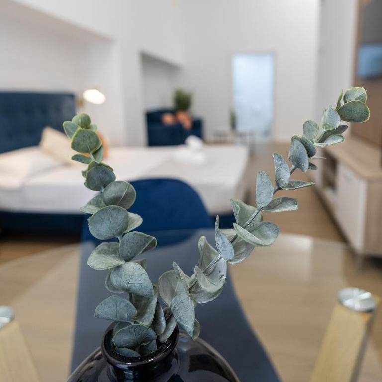 Imprenta Sorolla by Concept - Studio - 3