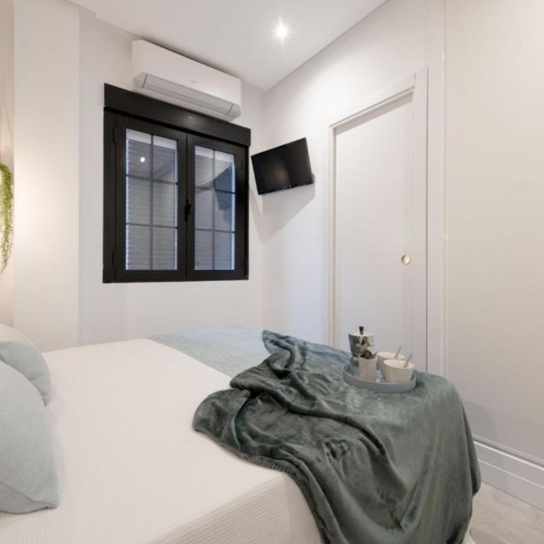 Cozy Apartment-1BED 1BATH- Barrio Salamanca - Apartment - 12