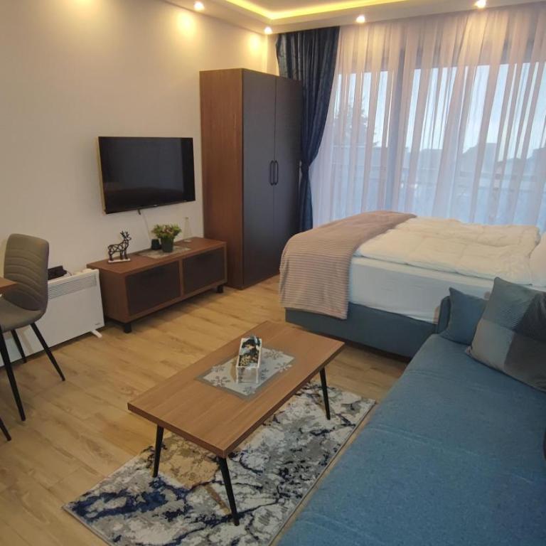 Apartment 12 Kopaonik - Apartman sa 1 Spavaćom Sobom - 1