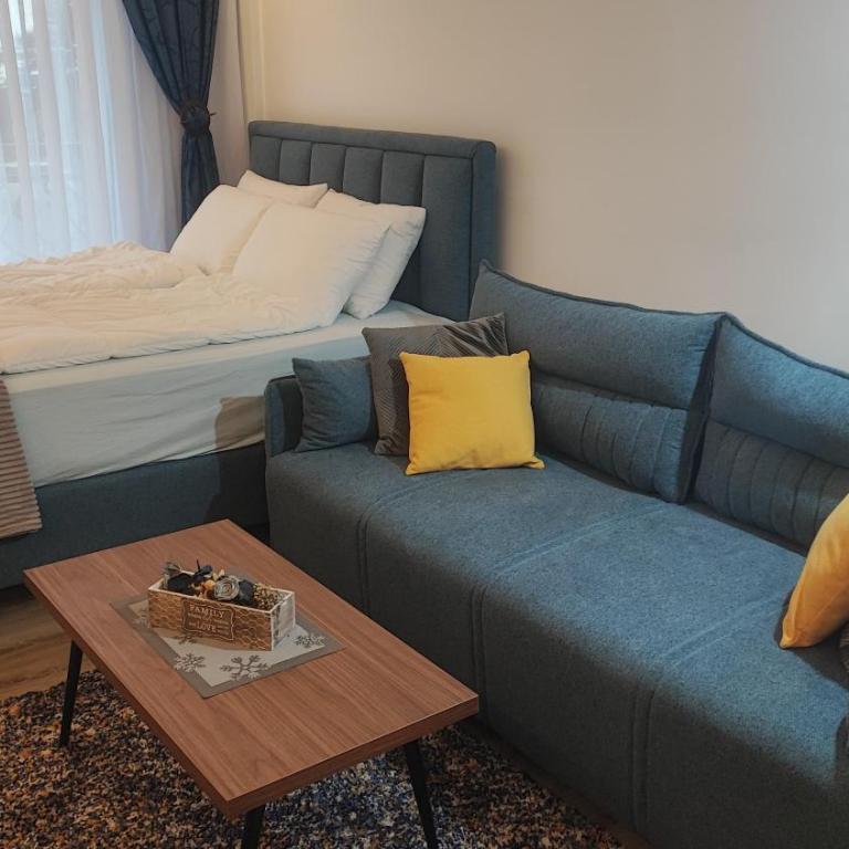Apartment 12 Kopaonik - Apartman sa 1 Spavaćom Sobom - 4