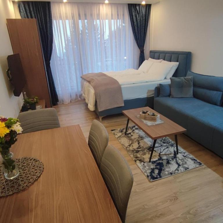 Apartment 12 Kopaonik - Apartman sa 1 Spavaćom Sobom - 5