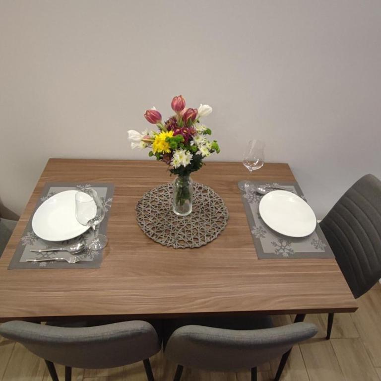 Apartment 12 Kopaonik - Apartman sa 1 Spavaćom Sobom - 7