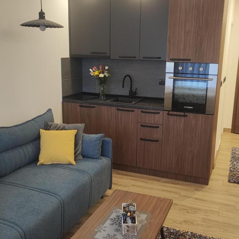 Apartment 12 Kopaonik - Apartman sa 1 Spavaćom Sobom - 8