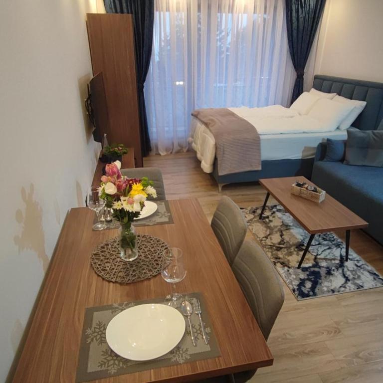 Apartment 12 Kopaonik - Apartman sa 1 Spavaćom Sobom - 10