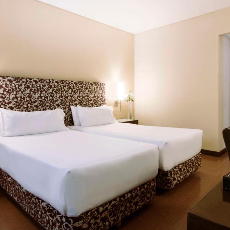 NH Mendoza Cordillera - Habitación Doble Estándar - 1 o 2 camas - 5