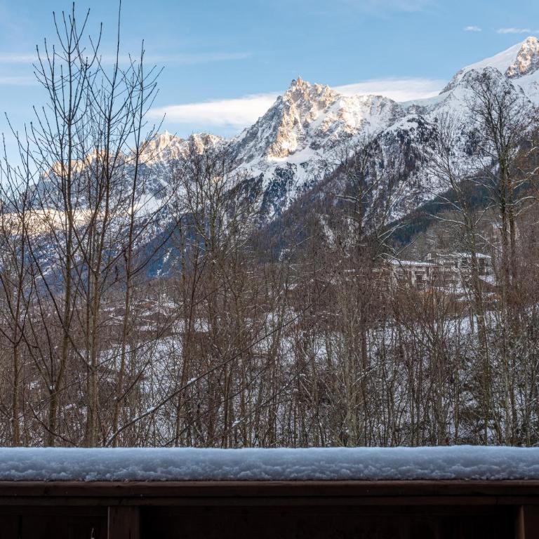 Apartment Kandahar, Alpes Travel, Les Houches, Sleeps 4 - Appartement 2 Chambres - 25
