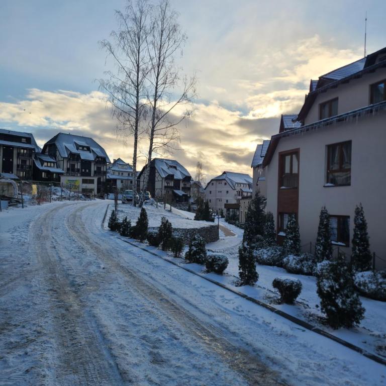 Kopaonik Milmari & Spa N Lux 90 - Studio Apartment - 51