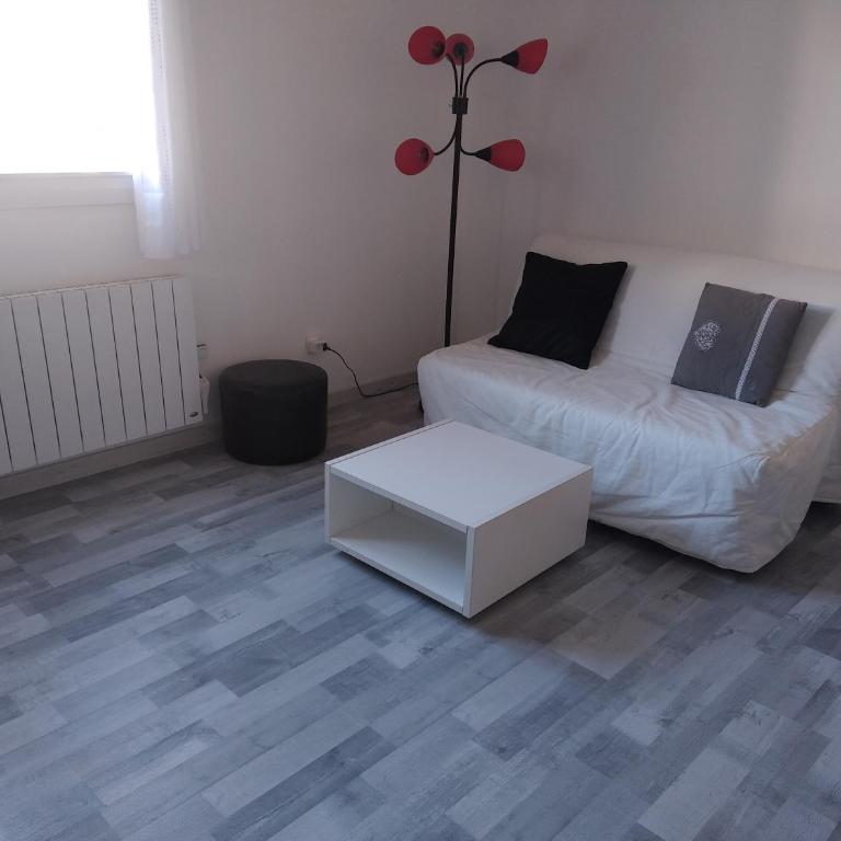 Studio 25 m2 centre Uriage - Studio - 12