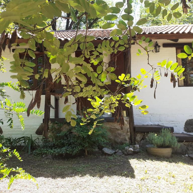 Cabañas Franca Austral - Chalet de 1 dormitorio - 19