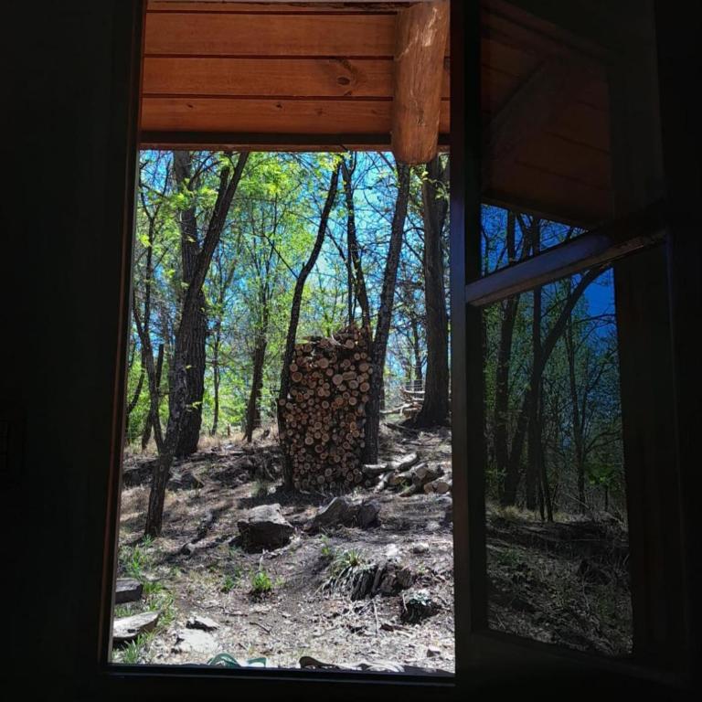 Cabañas Franca Austral - Chalet de 1 dormitorio - 27