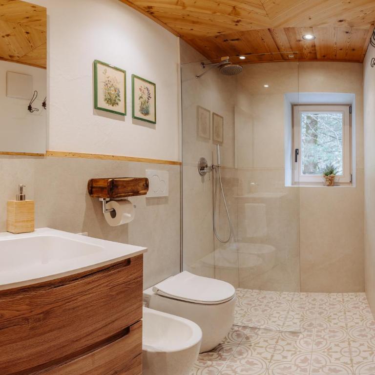 Luxury Chalet Liosa - Ski in Ski out - Amazing view - Appartamento con Terrazza - 16