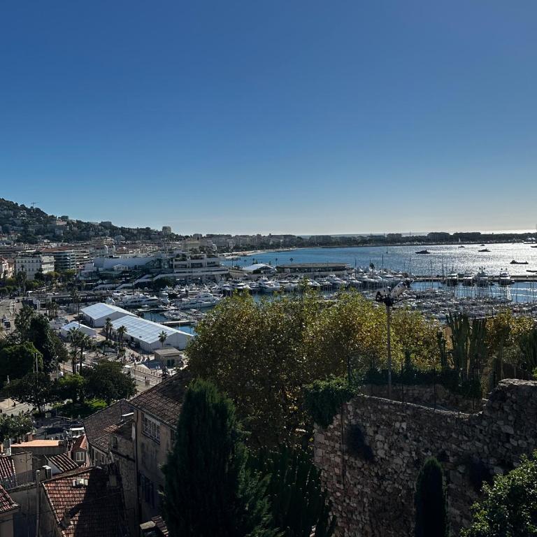 Étoiles et Lumières de Cannes - Appartement 1 Chambre - 4