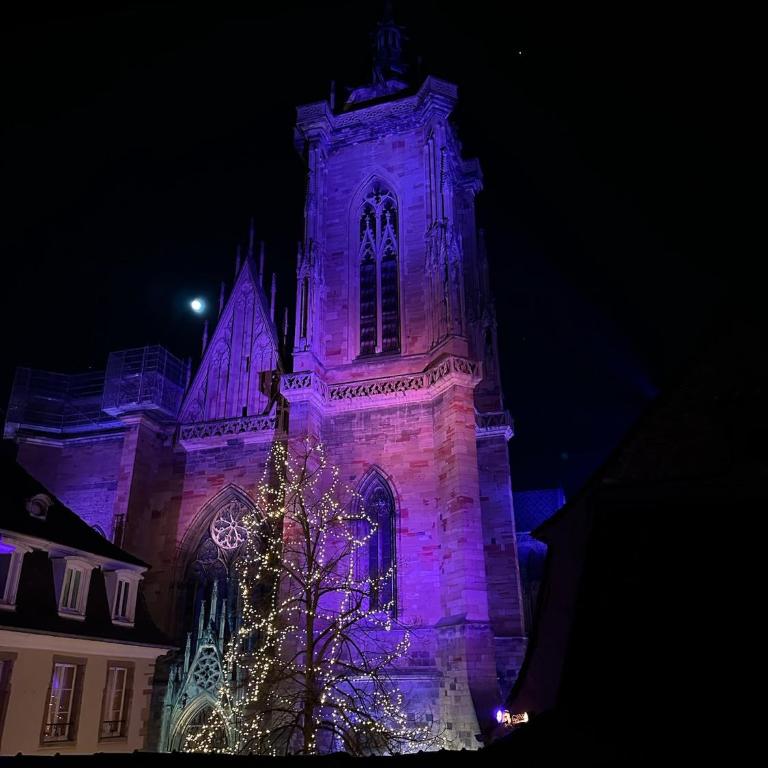 Le Nid de la Cathédrale - Appartement 2 Chambres - 24