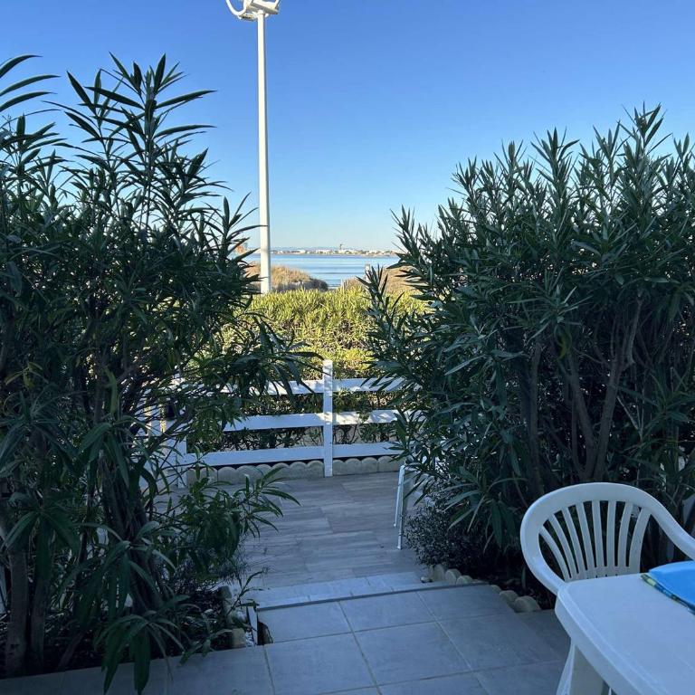 Port Camargue, T2 climatisé, terrasse, parking, animaux admis - FR-1-250-219 - Appartamento - 1