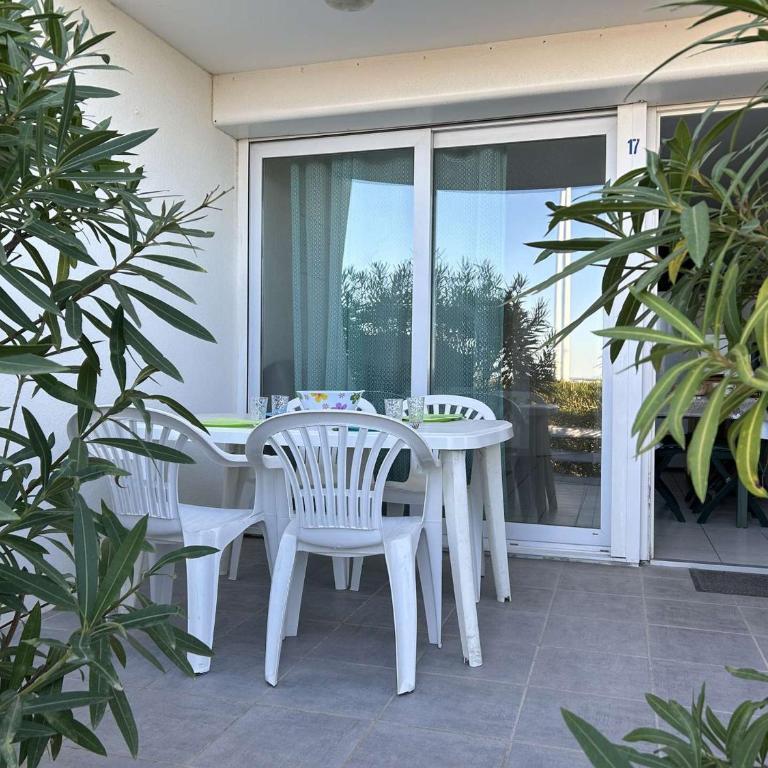 Port Camargue, T2 climatisé, terrasse, parking, animaux admis - FR-1-250-219 - Appartamento - 2