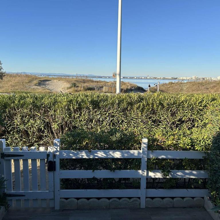 Port Camargue, T2 climatisé, terrasse, parking, animaux admis - FR-1-250-219 - Appartamento - 3