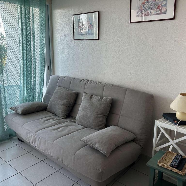 Port Camargue, T2 climatisé, terrasse, parking, animaux admis - FR-1-250-219 - Appartamento - 9