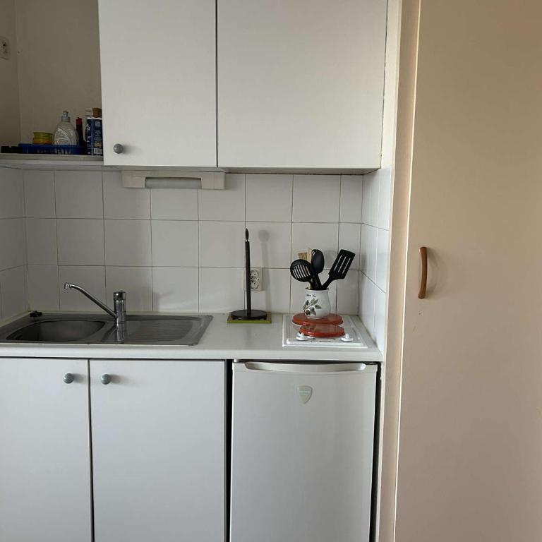 Port Camargue, T2 climatisé, terrasse, parking, animaux admis - FR-1-250-219 - Appartamento - 11