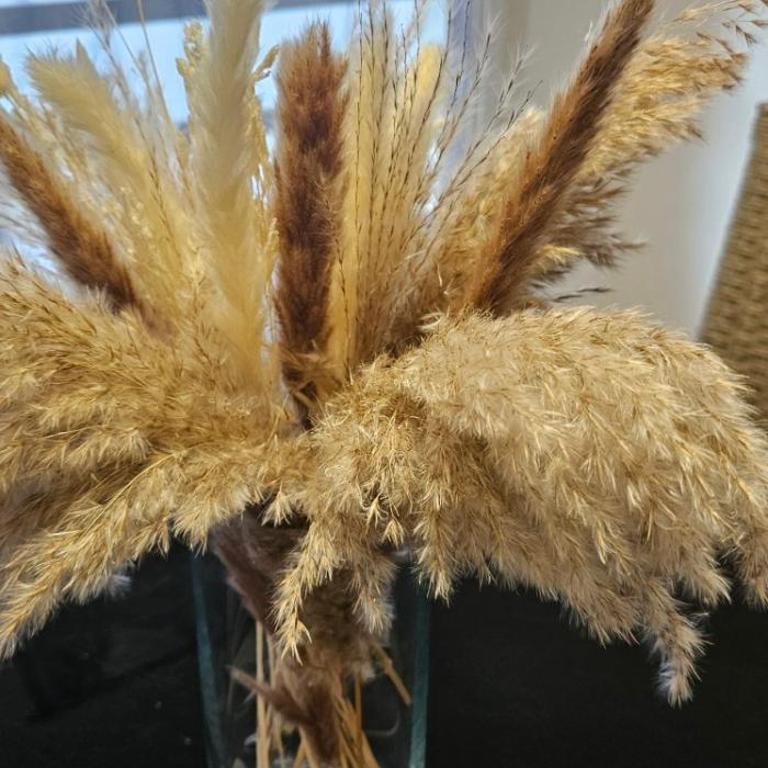 TeaBG - Apartman sa Balkonom - 5