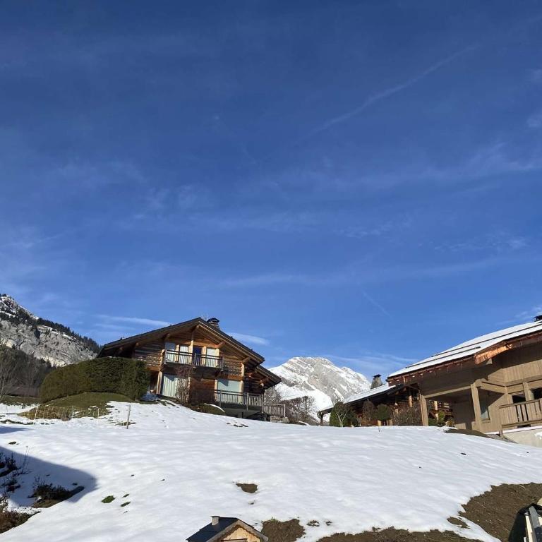 Chalet de luxe au calme avec salle de jeux, belle terrasse et proximité ski - Grand-Bornand - FR-1-458-193 - Chalet - 19