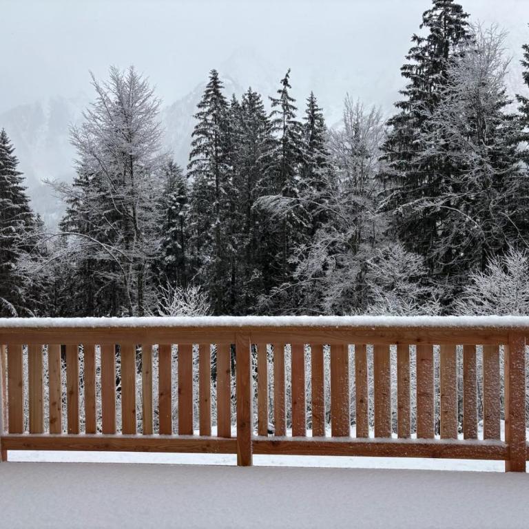 Chalet des Eaux Rousses -Renove -Prive - Vues 360 Mont Blanc - Chalet - 32