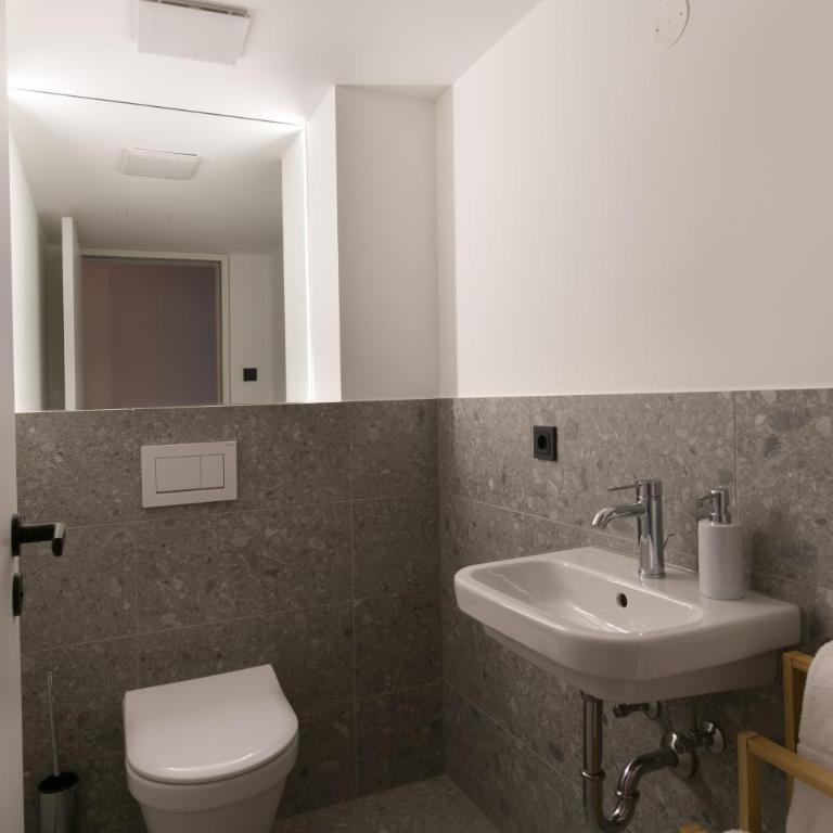 Adlerhaus, Loft Viererspitz -410- - Apartment - 10