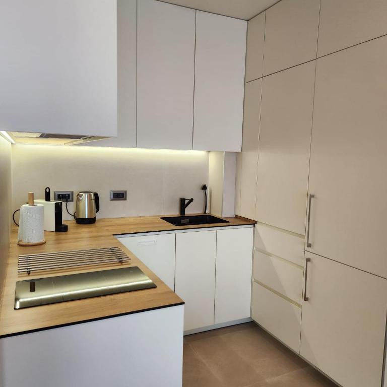 Novi Dorcol Big - Apartman sa 2 Spavaće Sobe i Terasom - 21
