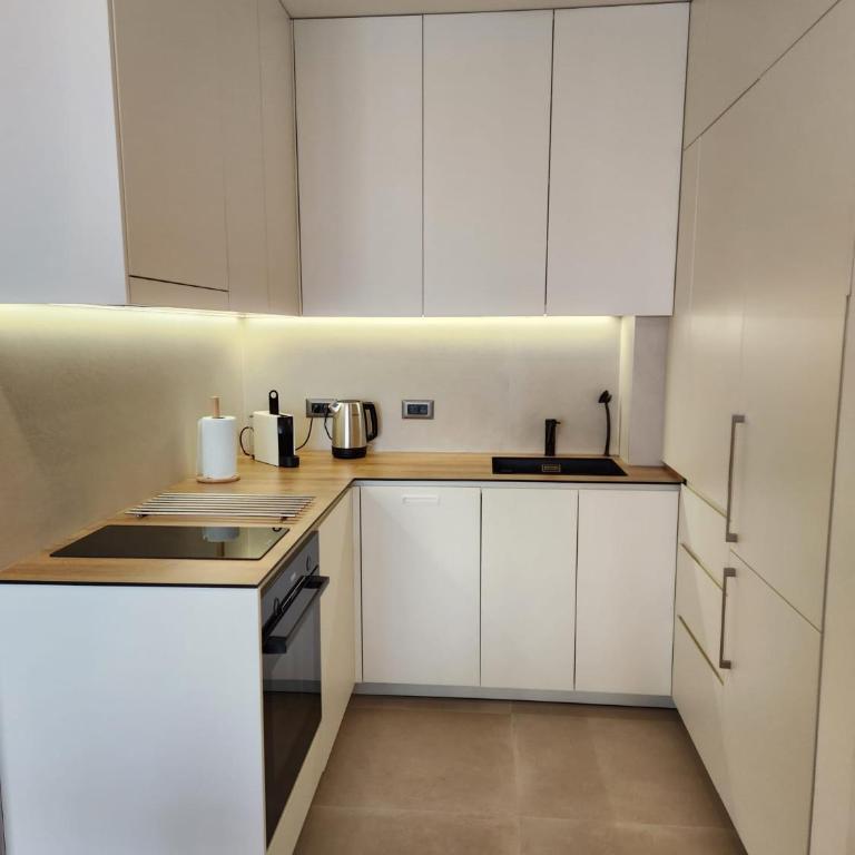 Novi Dorcol Big - Apartman sa 2 Spavaće Sobe i Terasom - 14